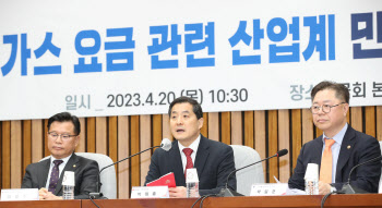 與, 한전·가스공사 압박 "구조조정 응답 없어…국민에 손해 전가"