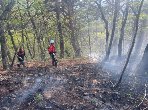 경북 주왕산 국립공원 화재…1시간 만에 진화