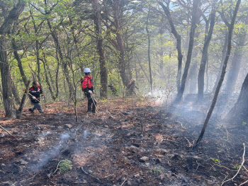 경북 주왕산 국립공원 화재…1시간 만에 진화