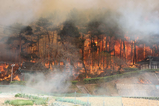 ‘강릉 산불’ 이재민들 비대위 구성…“한전에 피해보상 요구”