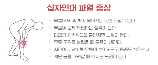 '십자인대' 운동선수들만 다치는 줄 알았더니... 일상생활 중에도 손상 가능성 높아