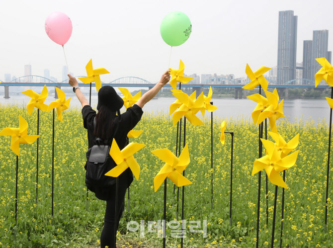 [포토] 유채꽃 축제