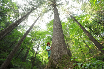 "생태·역사·경관적 가치가 높은 명품숲 국민이 직접 뽑아요"