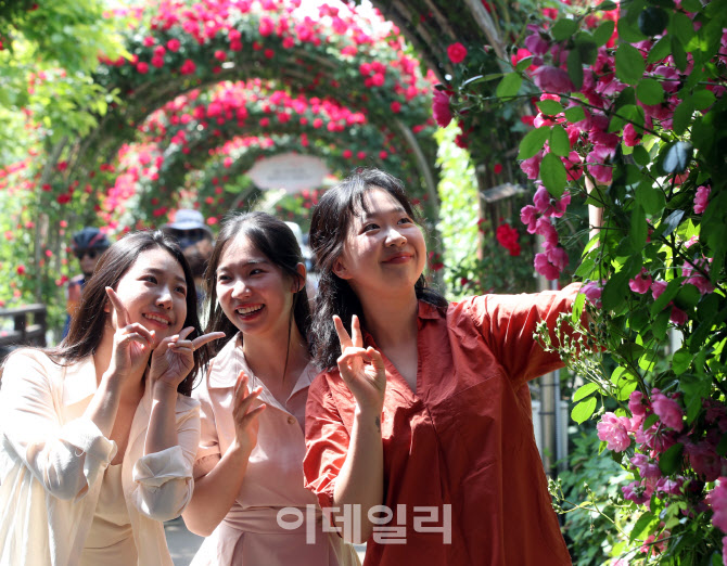 [포토] 아름다운 장미 축제