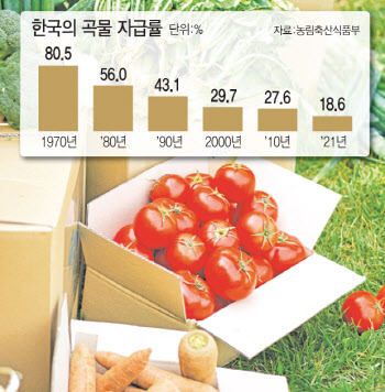 값싼 외국 농산물 치여 자급률 18.5%로 뚝…"한우처럼 체질개선 필요"