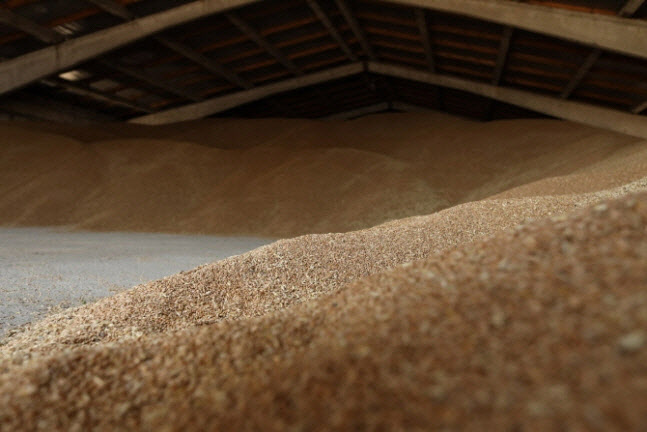 한숨 돌린 글로벌 식량시장…흑해 곡물협정 2개월 연장