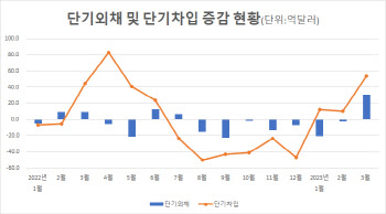 단기외채, 15년 4개월래 최대 급증…중앙은행 등 공공자금, 턴어라운드하나