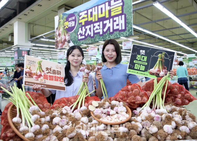 [포토] 농협유통, 햇 주대 마늘 최대 45% 할인