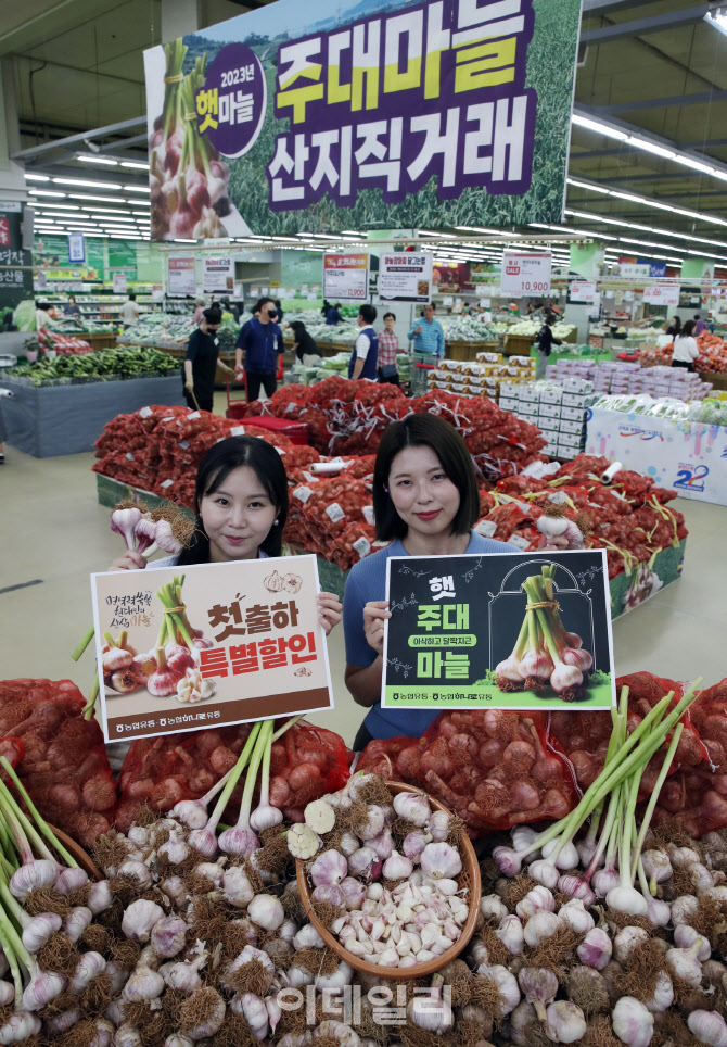 [포토] 하나로마트, 햇 주대 마늘 최대 45% 할인