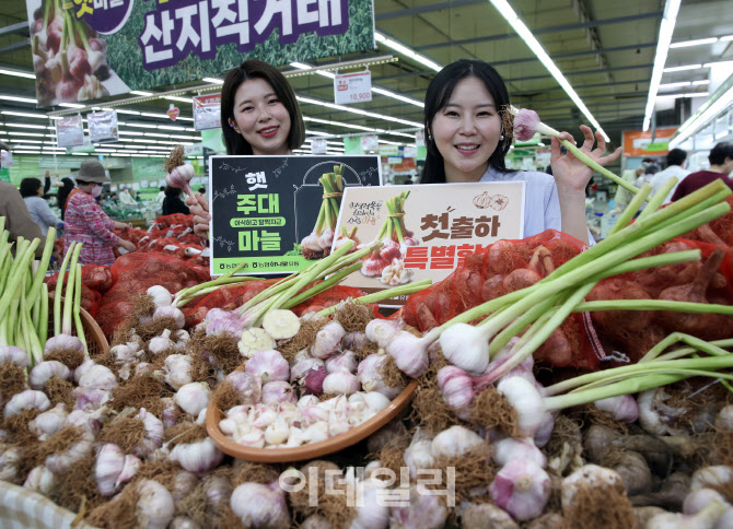 [포토] 하나로마트, 햇 마늘 최대 45% 할인