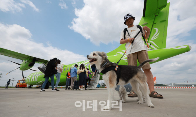 [포토]댕댕이 제주전세기 탑승