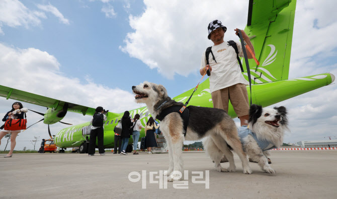 [포토]반려생활, 댕댕이 제주전세기 탑승