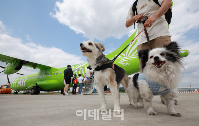 [포토]기분 좋은 강아지들