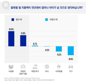 인플레이션 장기화로 지갑 닫은 美 소비자…"필수재만 지출"