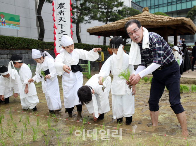 [포토] 이성희 농협회장, 손 모내기 체험행사