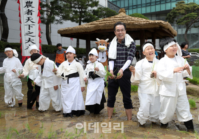 [포토] 손 모내기 체험행사