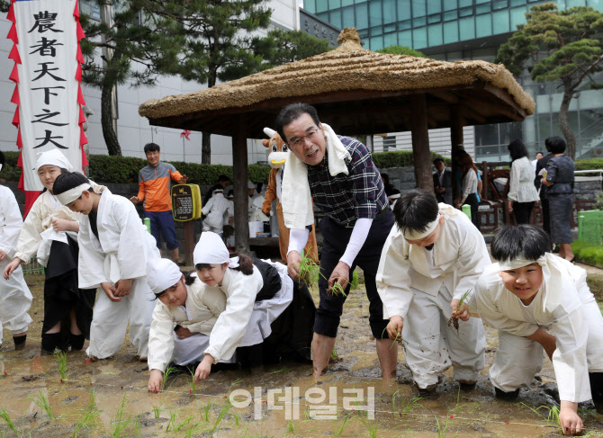 [포토] 손 모내기하는 이성희 농협회장