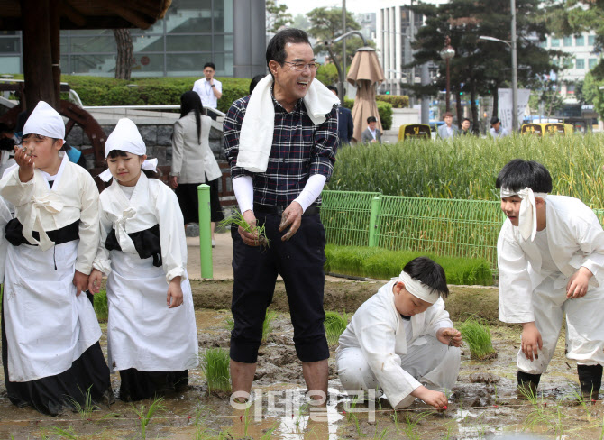 [포토] 농협, 풍년기원 손 모내기