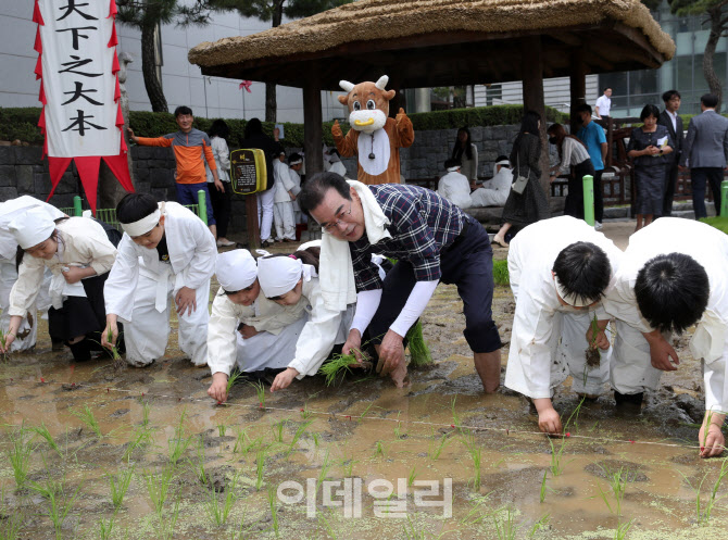 [포토] 농협, 어린이들과 손 모내기