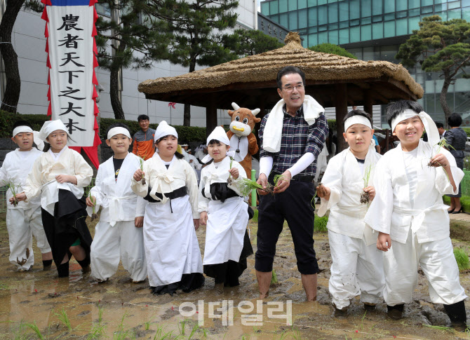 [포토] 전통 손 모내기