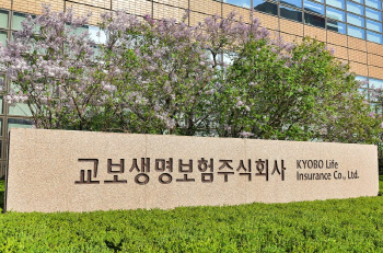 보험업계 지각 변동 시작되나…M&A로 시장 재편 움직임