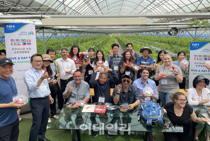 [포토] 농협, 주한대사관 직원 농촌체험