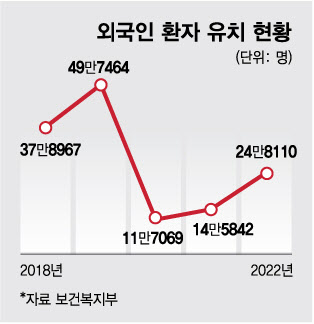 비자 발급 완화, 비대면 진료 제도화…외국인 환지 유치에 총력전