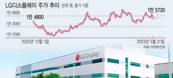 디스플레이도 턴어라운드 기대…넥스트 반도체 될까