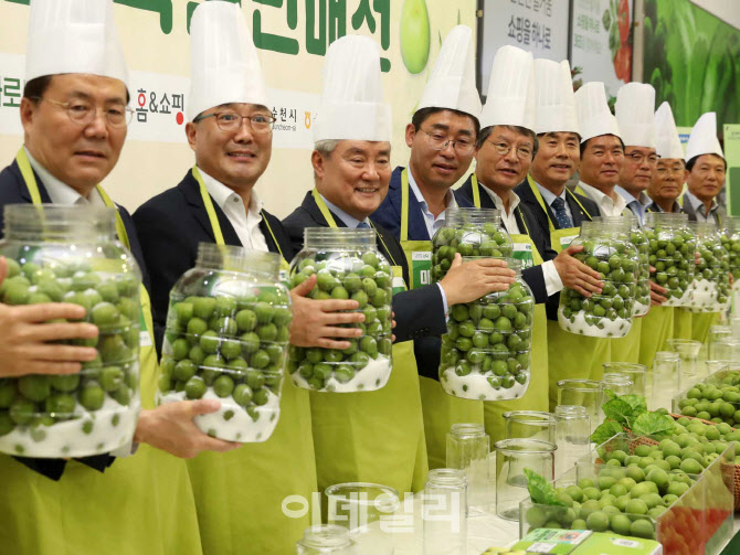 [포토] 매실 소비촉진 상생마케팅