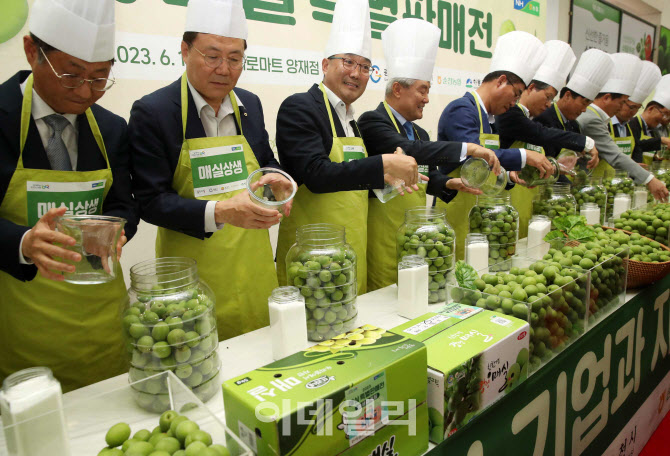 [포토] 매실 소비촉진, 매실담그기 이벤트