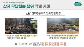 축구장 1.5배 넓이 산지에 무허가 불법행위, 경기도특사경에 적발