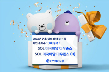 SOL 미국배당 다우존스 ETF, 2년 연속 개인순매수 1위