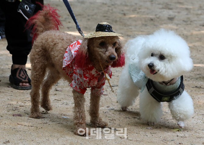 [포토]놀이터에서 만난 이상형