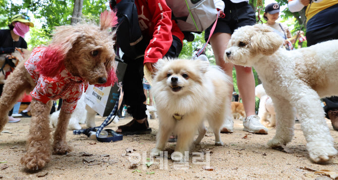 [포토]반려견 반상회