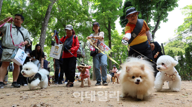 [포토]신나게 뛰어노는 반려견들