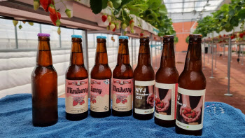 남양주시, 농민-브루어리 협업 지역농산물 활용한 맥주 출시