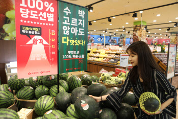 롯데마트, 인디밴드 ‘카키마젬’과 콜래보 ‘수박송’ 공개