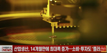 (영상)산업생산, 14개월만에 최대폭 증가…소비·투자도 '플러스'