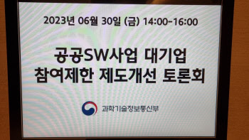 정부, '공공 SW 대기업 참여' 정책 그대로…세부 기준 두고 고민