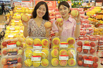 롯데마트·슈퍼, 장마철 100% 당도 선별 복숭아 판매