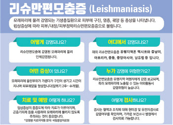 모래파리에 물린 해외여행객 리슈만편모충 감염 확인