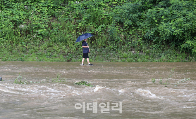 [포토]폭우로 사라진 탄천 산책로