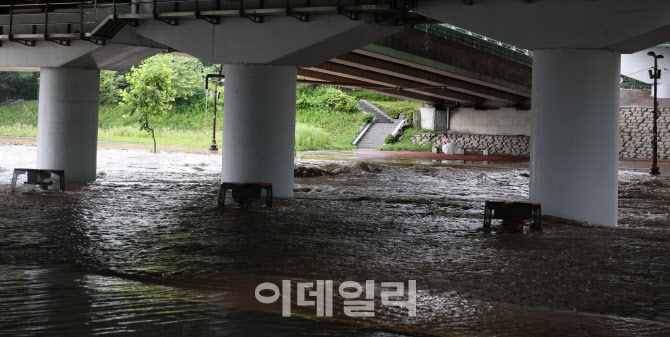 [포토]장마비로 불어난 탄천