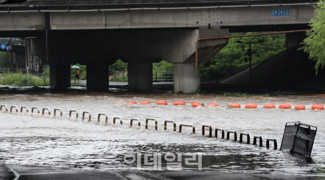 [포토]불어난 탄천