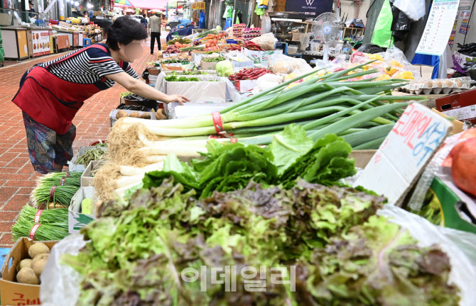 [포토]"채소 가격 무섭게 오른다"…긴 폭우에 '밥상 물가' 비상