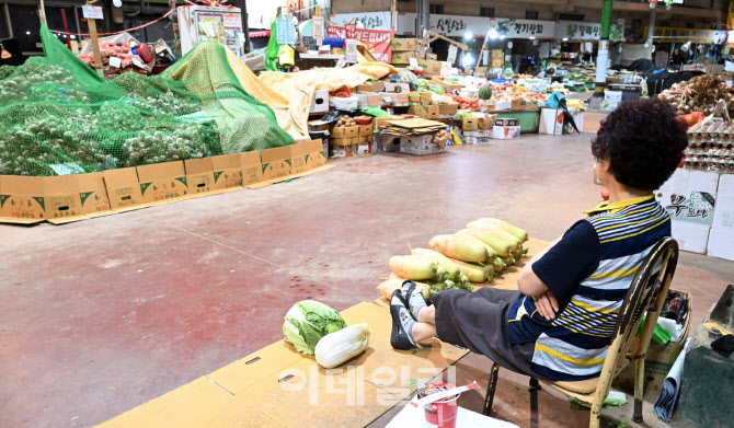 [포토]"채소 가격 무섭게 오른다"…긴 폭우에 '밥상 물가' 비상, 한산한 전통시장