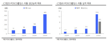 "포스코홀딩스, 주가 급등 과도하지 않아…리튬가치 선반영"