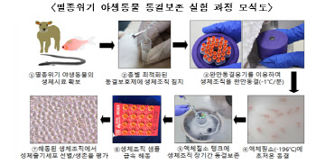 국내 연구진, 산양 등 멸종 위기 19종 동결 보존 기술 개발