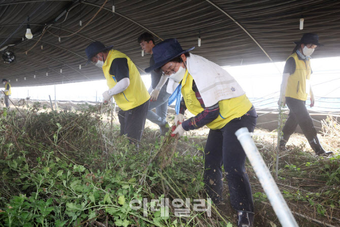 [포토] 자원봉사 참가한 김미경 은평구청장