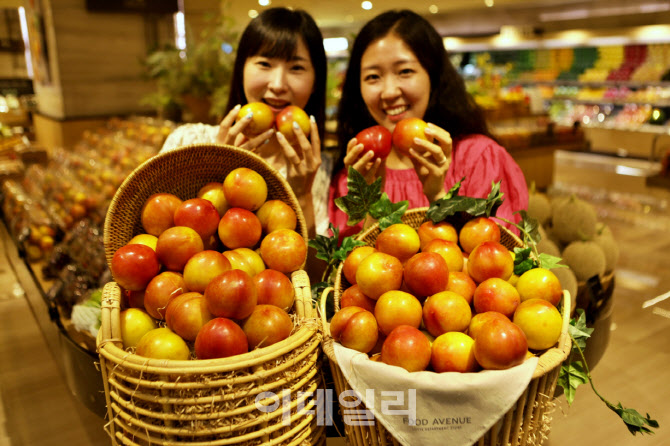 [포토]롯데百, 프리미엄 자두 ‘와촌자두’ 판매